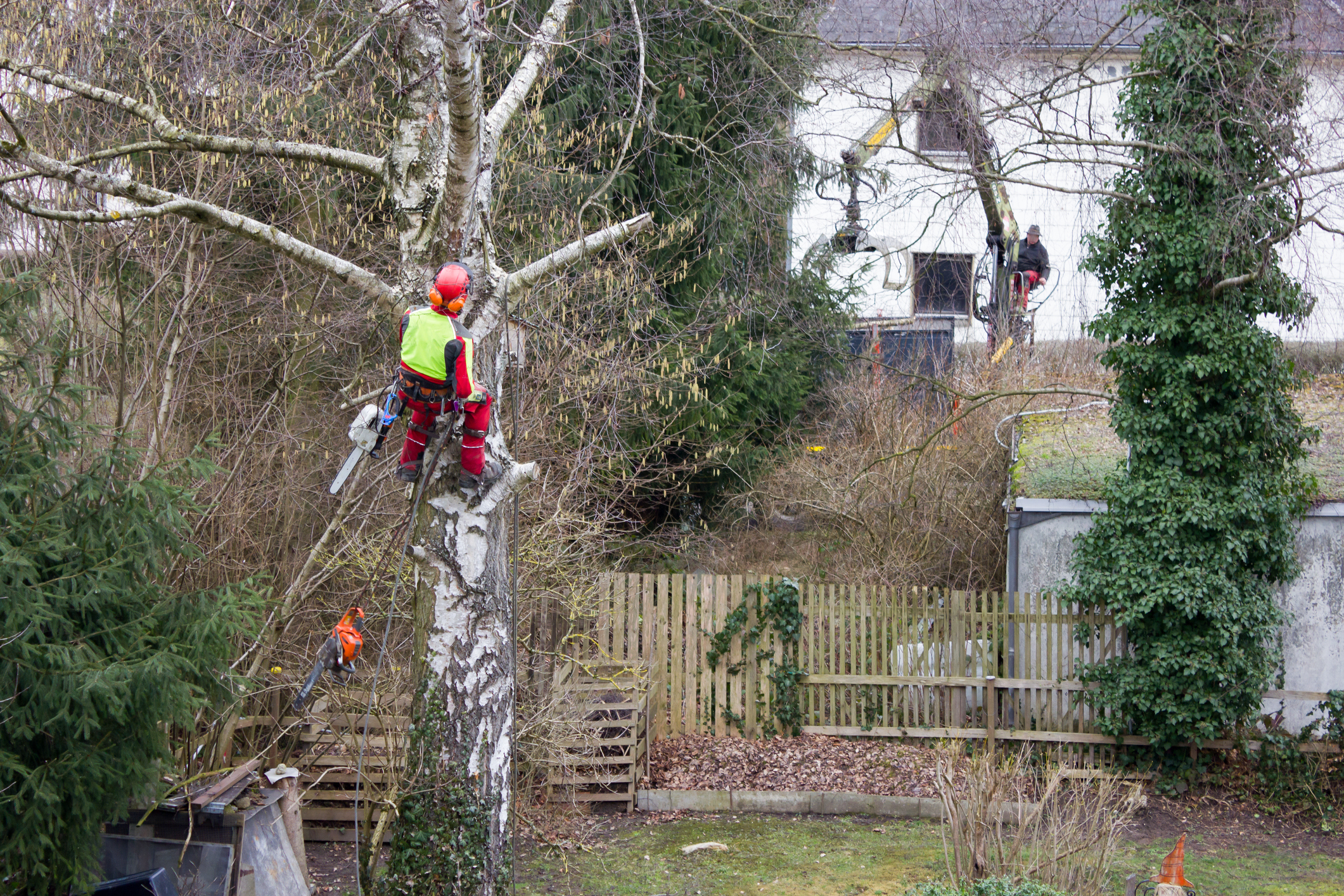Baumschnitt auf Privatgrund, Garten- und Umgebungsarbeiten. Gehört der Baumschnitt zu den Nebenkosten?