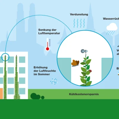 Förderprogramm Stadtgrün