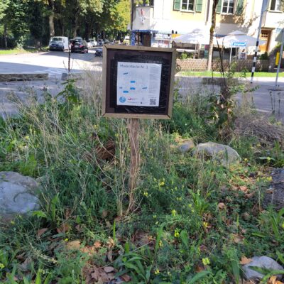 Asphalt raus, Kies rein: Entsiegeln für Anfänger*innen