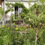 Eine kühle Oase im eigenen Garten schaffen
