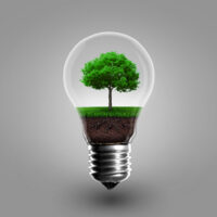 Energieeffizienz und Nachhaltigkeit