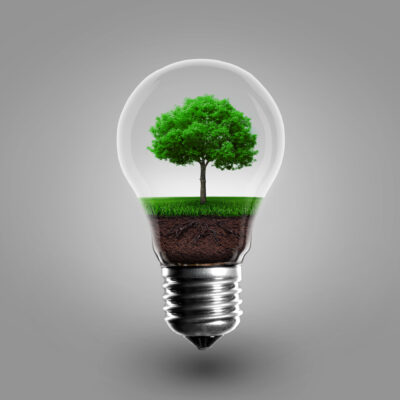 Ener­gie­ef­fi­zi­enz und Nachhaltigkeit