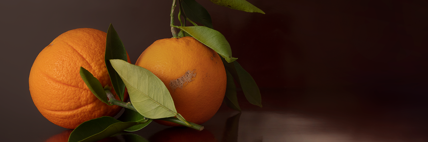 Echte Orangen von gebana