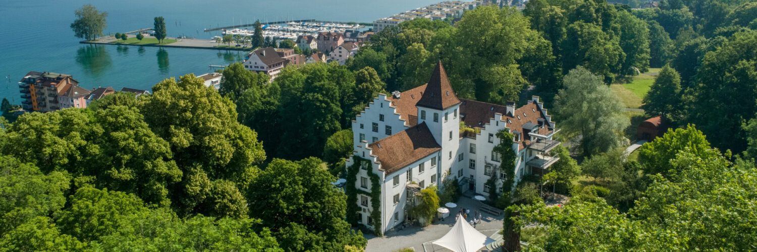 Luftaufnahme Hotel Schloss Wartegg