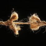 Konflikte beilegen – bevor sie eskalieren